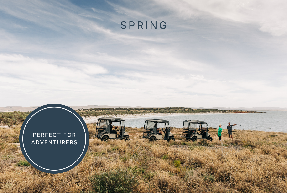 ATVs parked on coastal trail overlooking the ocean on Louth Island, ideal for spring adventures and nature exploration